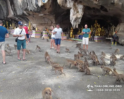 Koh Chang Paradise Hill Hotel tour 7 Countries Pattaya photo 328