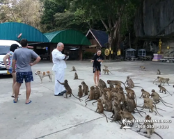 Koh Chang Paradise Hill Hotel tour 7 Countries Pattaya photo 802