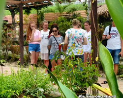 Asian Spice Garden in Pattaya guided tour Thailand - photo 109