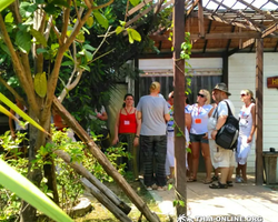 Asian Spice Garden in Pattaya guided tour Thailand - photo 158