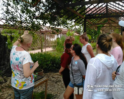 Asian Spice Garden in Pattaya guided tour Thailand - photo 164