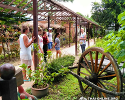 Asian Spice Garden in Pattaya guided tour Thailand - photo 29