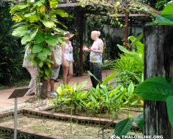 Asian Spice Garden in Pattaya guided tour Thailand - photo 136