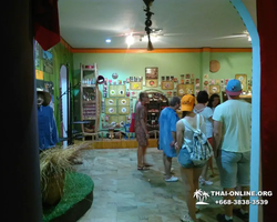 Asian Spice Garden in Pattaya guided tour Thailand - photo 923