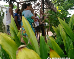 Asian Spice Garden in Pattaya guided tour Thailand - photo 385