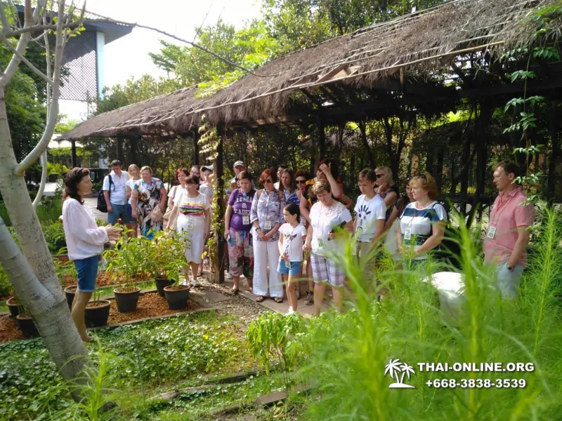 Asian Spice Garden in Pattaya guided tour Thailand - photo 95