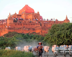 Myanmar Yangon Bagan travel with Seven Countries Pattaya - photo 44