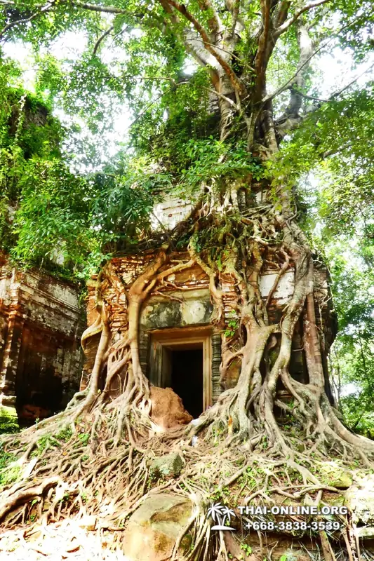 Temples of Angkor and Koh Ker tour Seven Countries agency from Pattaya Thailand photo 1