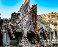 Angkor Wat and Phnom Kulen excursion 7 countries Pattaya photo 28