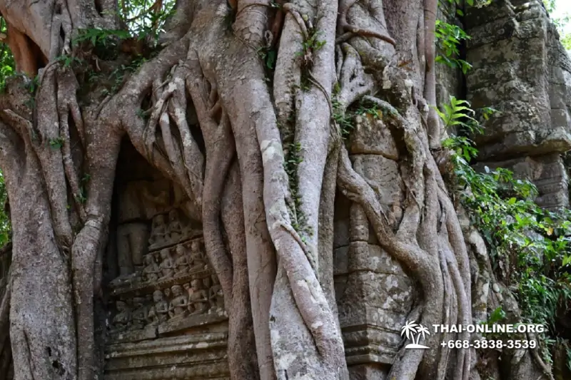 Cambodia Angkor temples 3 days guided tour Seven Countries excursion agency from Pattaya photo 12