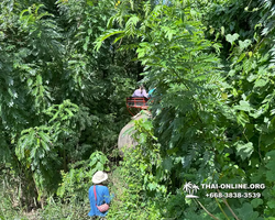 Wonderland of Khao Yai excursion Magic Thai Pattaya photo 154