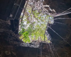 Wonderland of Khao Yai excursion Magic Thai Online Pattaya photo 338