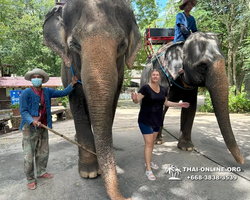 Wonderland of Khao Yai excursion Magic Thai Pattaya photo 171