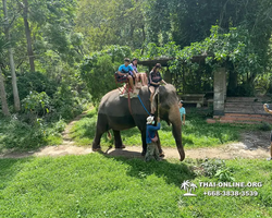 Wonderland of Khao Yai excursion Magic Thai Pattaya photo 161