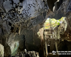 Wonderland of Khao Yai excursion Magic Thai Online Pattaya photo 230