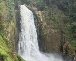 Wonderland of Khao Yai excursion Magic Thai Online Pattaya photo 309