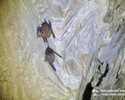 Wonderland of Khao Yai excursion Magic Thai Online Pattaya photo 374