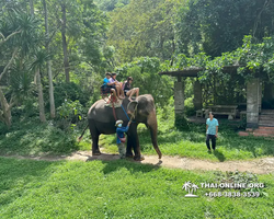 Wonderland of Khao Yai excursion Magic Thai Pattaya photo 163