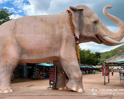 Wonderland of Khao Yai excursion Magic Thai Online Pattaya photo 299