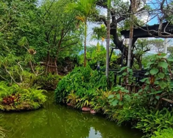 Wonderland of Khao Yai excursion Magic Thai Online Pattaya photo 236