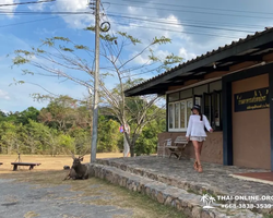 Wonderland of Khao Yai excursion Magic Thai Online Pattaya photo 315