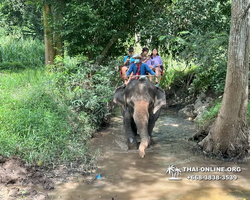 Wonderland of Khao Yai excursion Magic Thai Pattaya photo 164