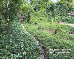 Wonderland of Khao Yai excursion Magic Thai Pattaya photo 149