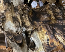 Wonderland of Khao Yai excursion Magic Thai Online Pattaya photo 283