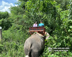 Wonderland of Khao Yai excursion Magic Thai Pattaya photo 151