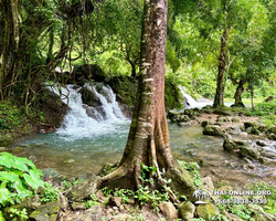 Wonderland of Khao Yai excursion Seven Countries Pattaya photo 3