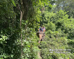 Wonderland of Khao Yai excursion Magic Thai Pattaya photo 152