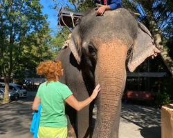 Wonderland of Khao Yai excursion Magic Thai Online Pattaya photo 227