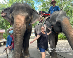 Wonderland of Khao Yai excursion Magic Thai Pattaya photo 173