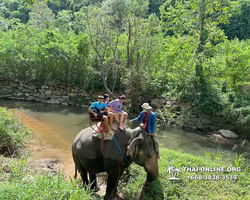 Wonderland of Khao Yai excursion Magic Thai Pattaya photo 158