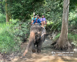 Wonderland of Khao Yai excursion Magic Thai Pattaya photo 165