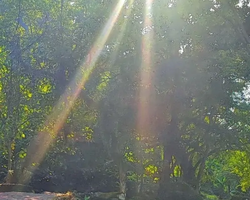 Wonderland of Khao Yai excursion Magic Thai Online Pattaya photo 232