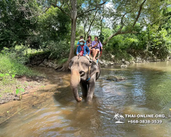 Wonderland of Khao Yai excursion Magic Thai Pattaya photo 168