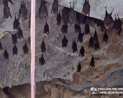 Wonderland of Khao Yai excursion Magic Thai Online Pattaya photo 364