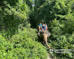 Wonderland of Khao Yai excursion Magic Thai Pattaya photo 148