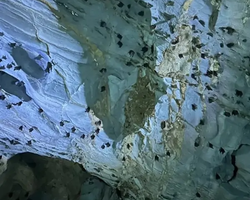 Wonderland of Khao Yai excursion Magic Thai Online Pattaya photo 329