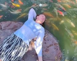 Wonderland of Khao Yai excursion Magic Thai Online Pattaya photo 353