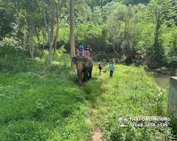 Wonderland of Khao Yai excursion Magic Thai Pattaya photo 153