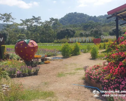 Wonderland of Khao Yai excursion Magic Thai Online Pattaya photo 295