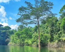 Wonderland of Khao Yai excursion Magic Thai Online Pattaya photo 195