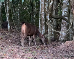 Wonderland of Khao Yai excursion Magic Thai Online Pattaya photo 248