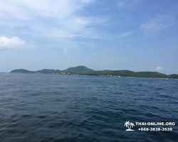 Coral Island of Koh Lan one day beach tour Pattaya - photo 167