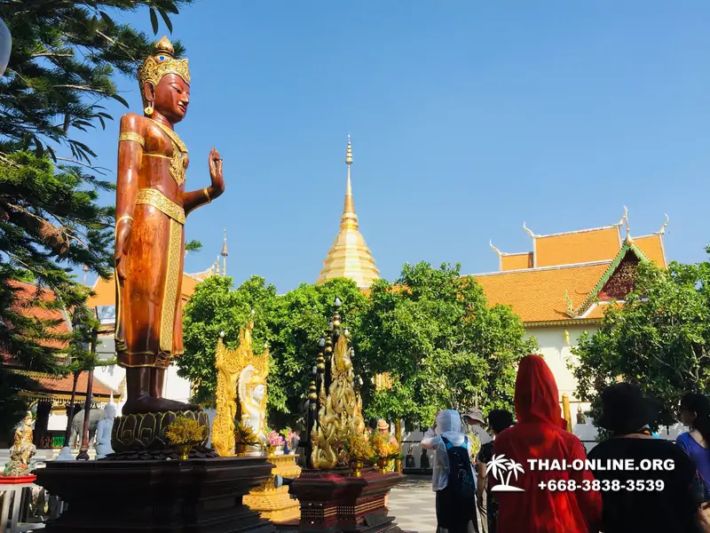 Charm of Chiang Mai two-day tour Seven Countries Thailand from Pattaya, Bangkok, Phuket or Hua Hin - photo 16