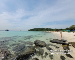 Pattaya Bay Cruise sea and island tour in Pattaya Thailand - photo 300