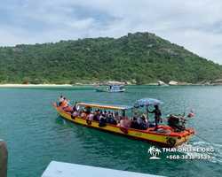 Pattaya Bay Cruise sea and island tour in Pattaya Thailand - photo 248