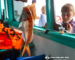 Pattaya Bay Cruise sea and island tour in Pattaya Thailand - photo 473